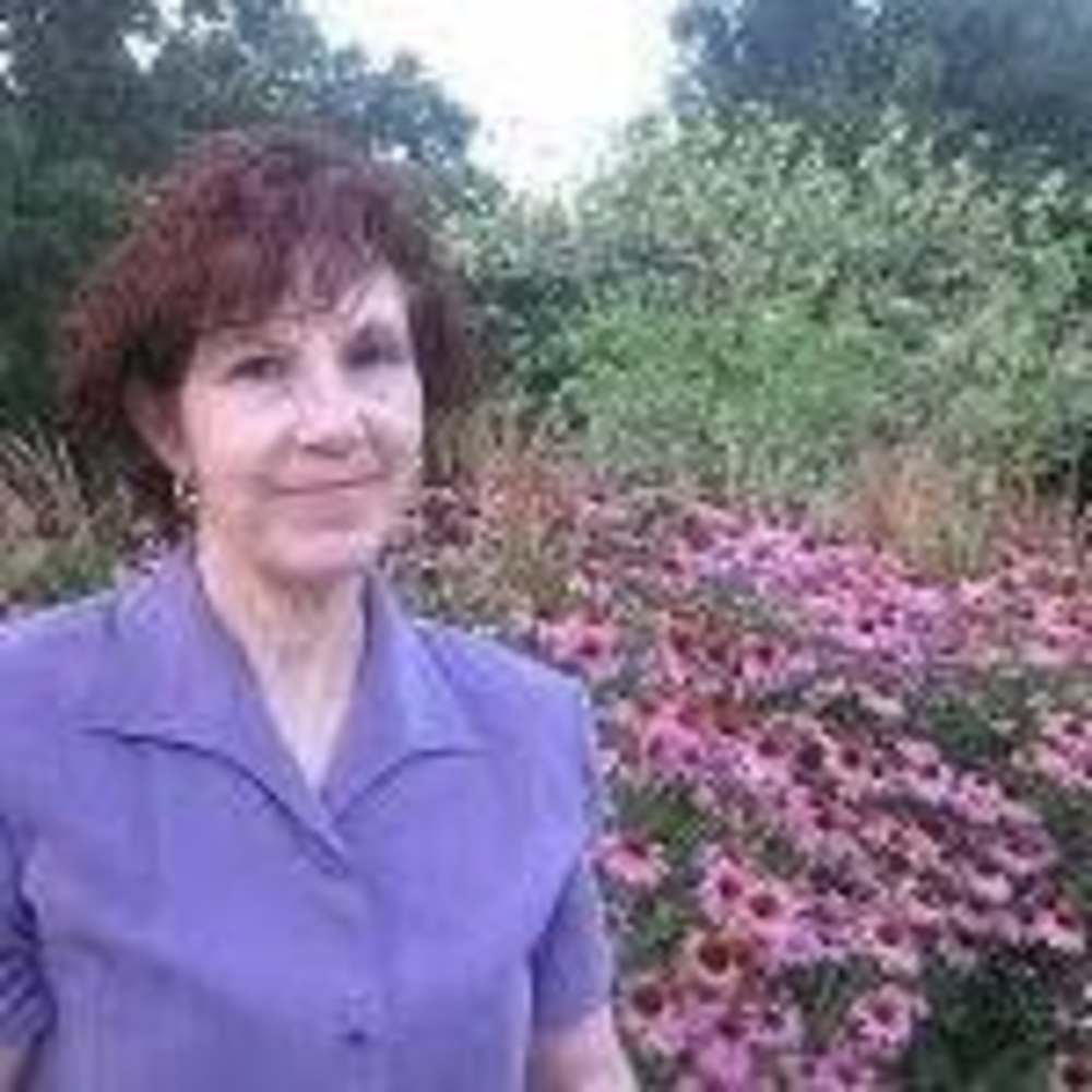 Meet your Posher, Laurie